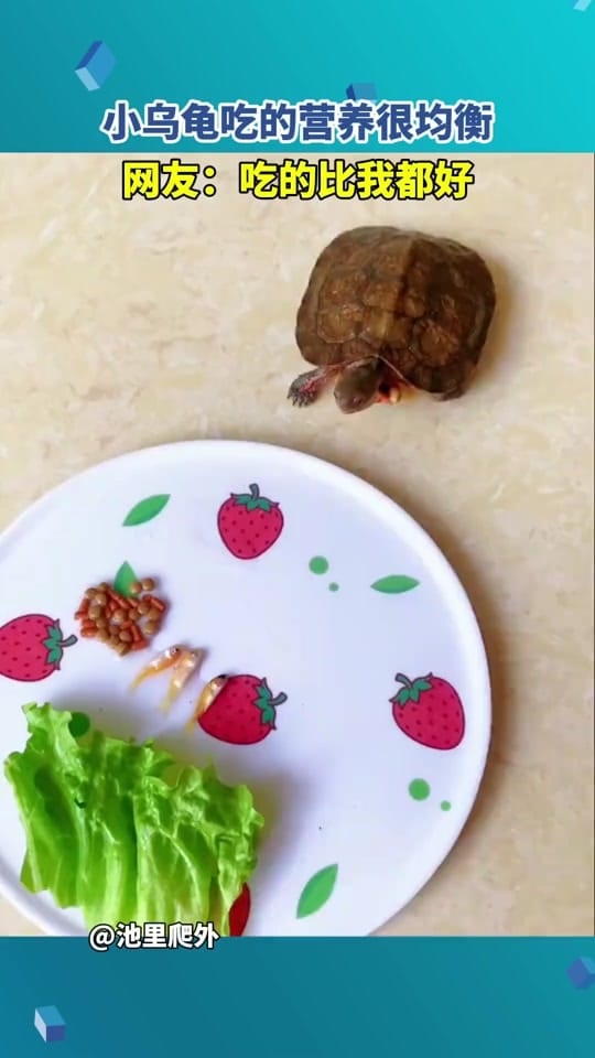 Post 10 by DAVIDHU on TikTok (video)