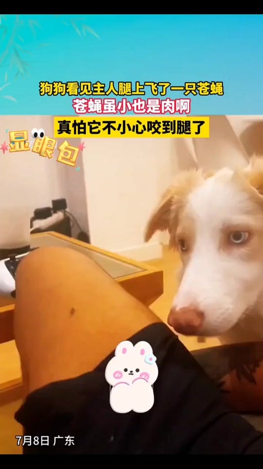 Post 5 by DAVIDHU on TikTok (video)