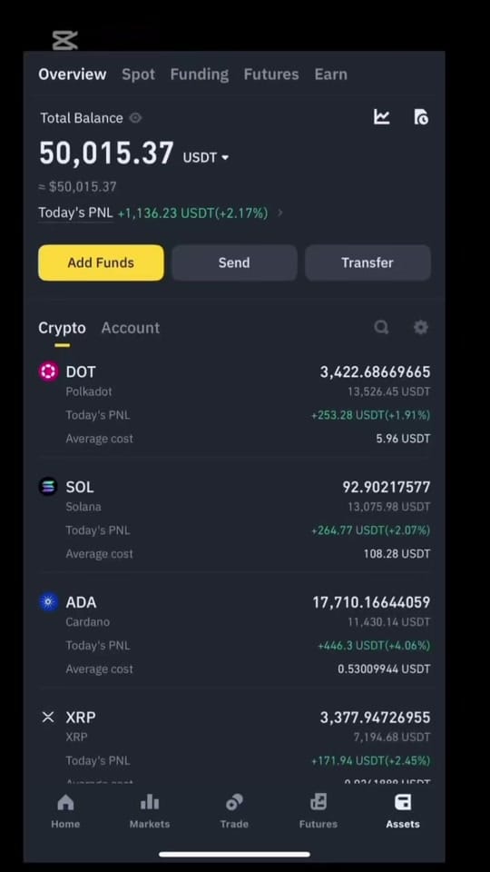Post 2 by Niazi Crypto on TikTok (video)