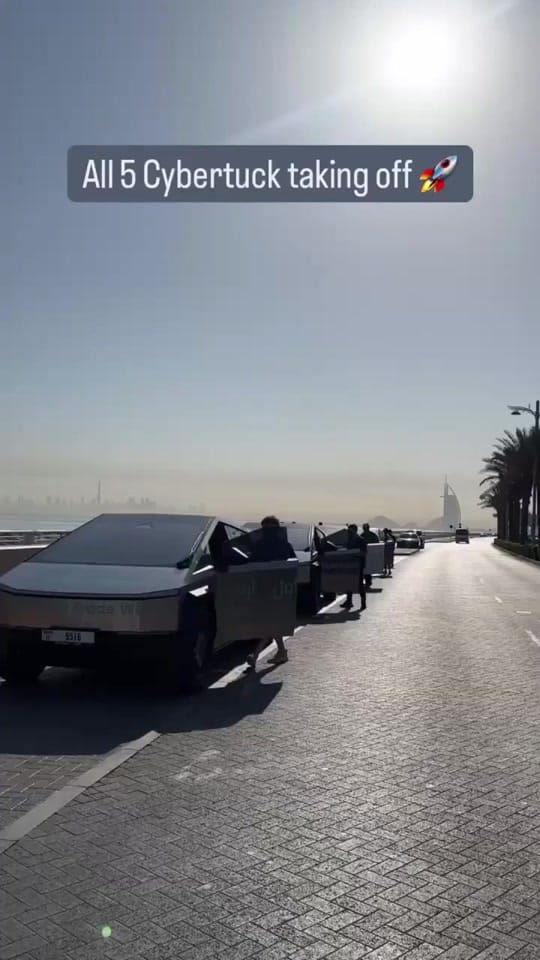 Post 10 by BitOasis on TikTok (video)