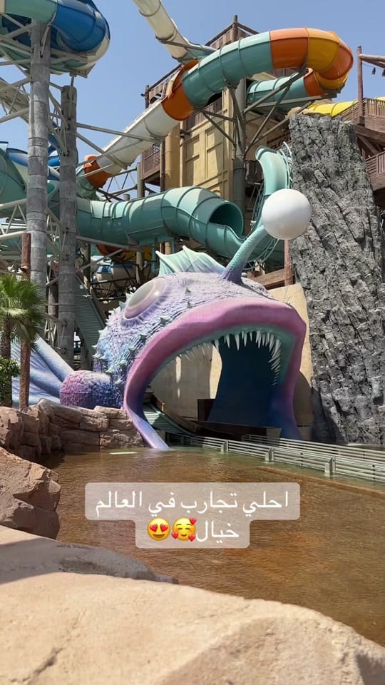 Post 3 by Mohamed Ali on TikTok (video)