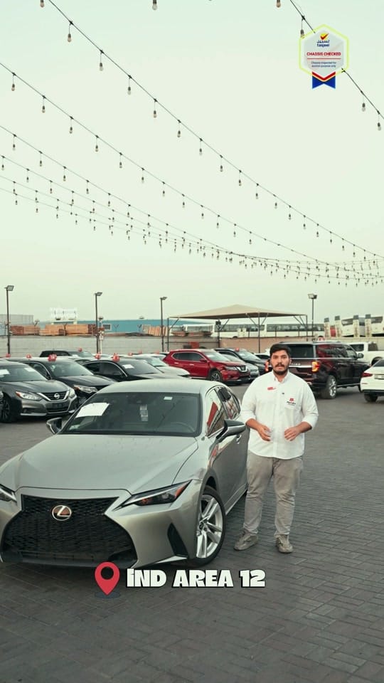 Post 4 by Marhaba Auctions on TikTok (video)