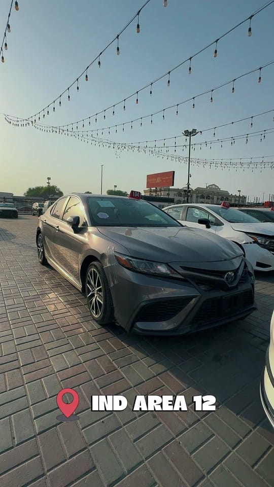Post 2 by Marhaba Auctions on TikTok (video)