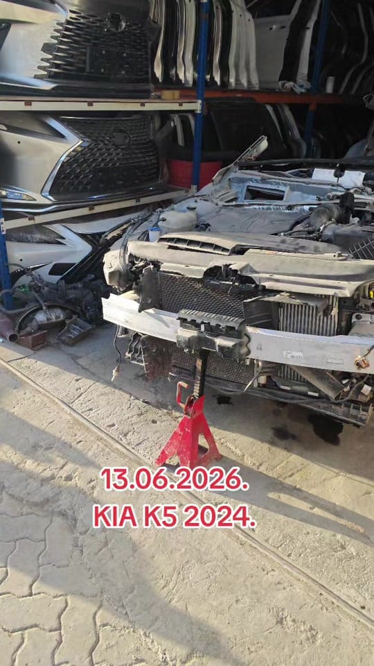 Post 7 by TurkmeNury on TikTok (video)