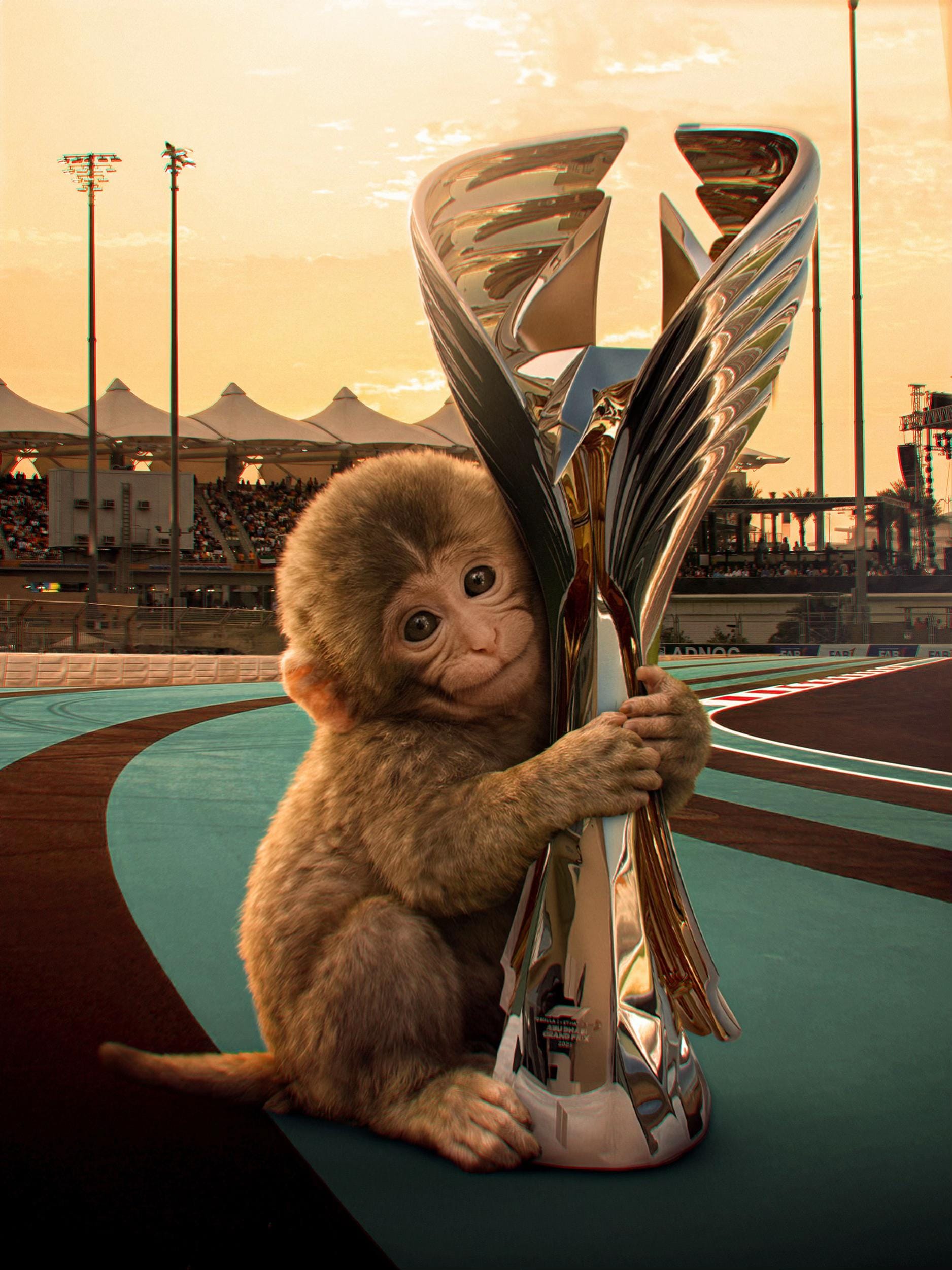 Post 6 by Abu Dhabi Grand Prix on TikTok (video)