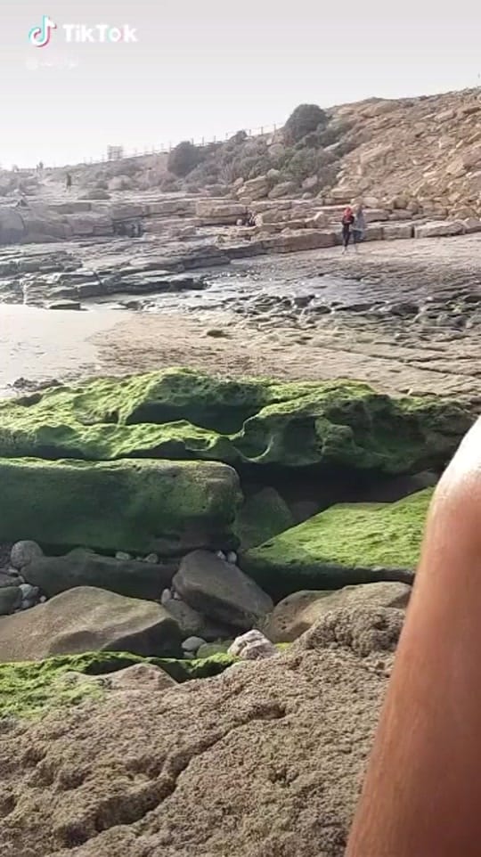 Post 7 by pq.85 on TikTok (video)
