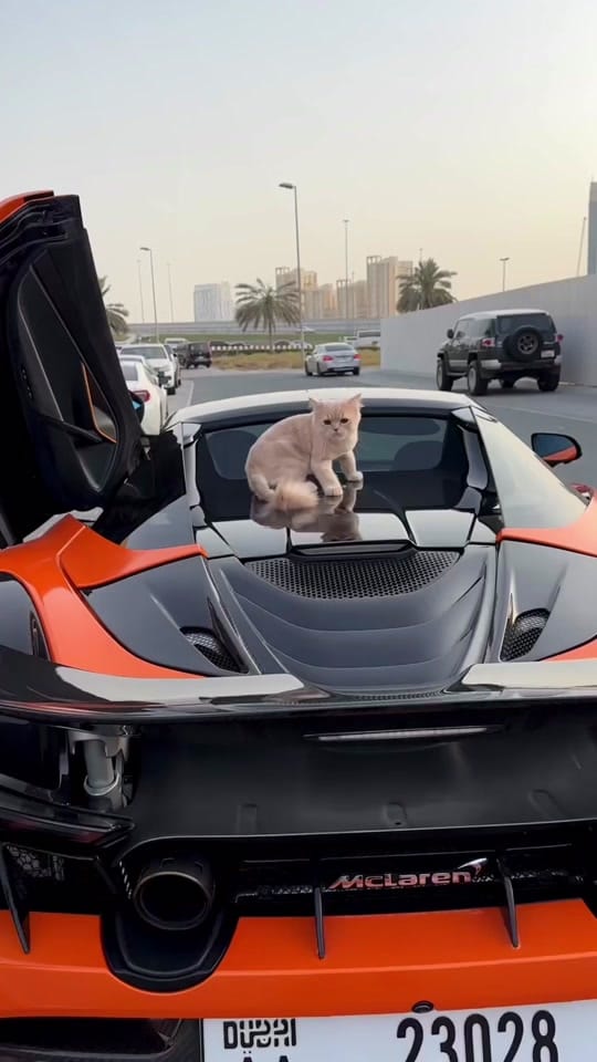 Post 5 by Rent Any Car Dubai on TikTok (video)