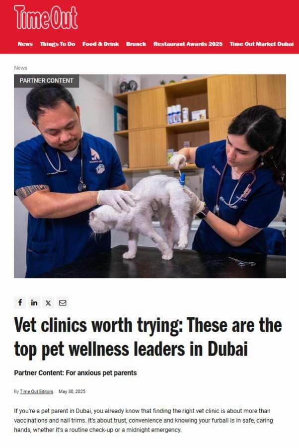 Post 8 by Modernvetdubai on TikTok (video)