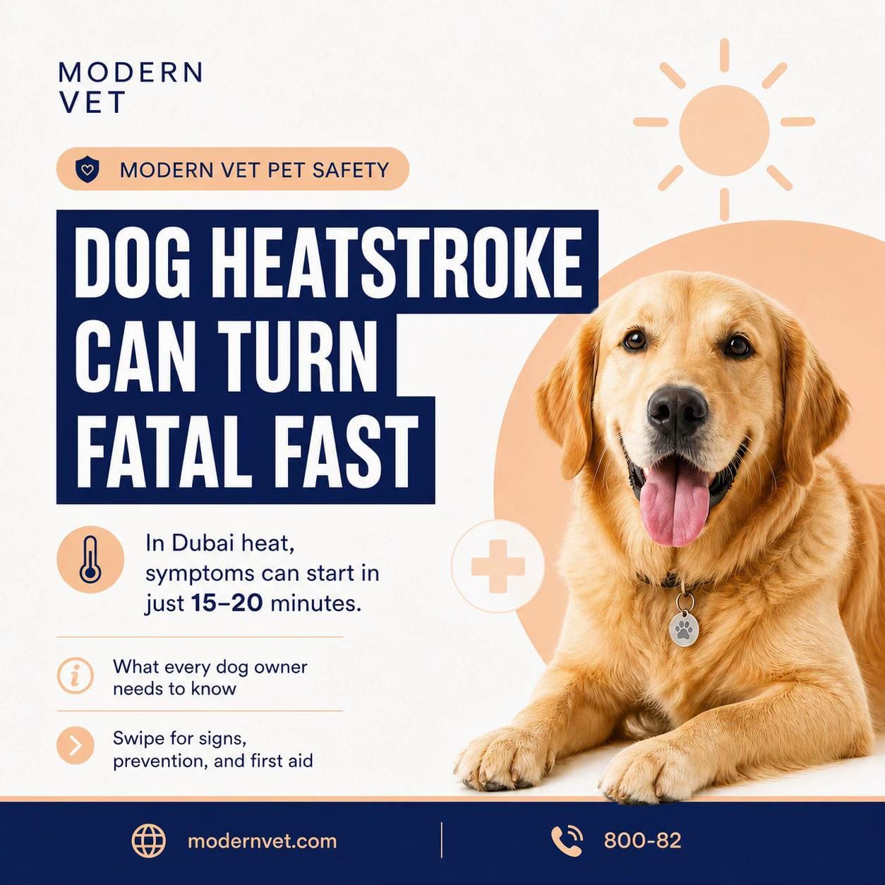 Post 6 by Modernvetdubai on TikTok (video)
