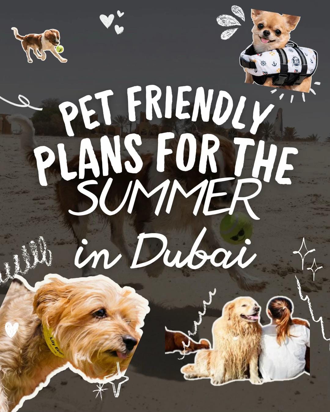 Post 4 by Modernvetdubai on TikTok (video)