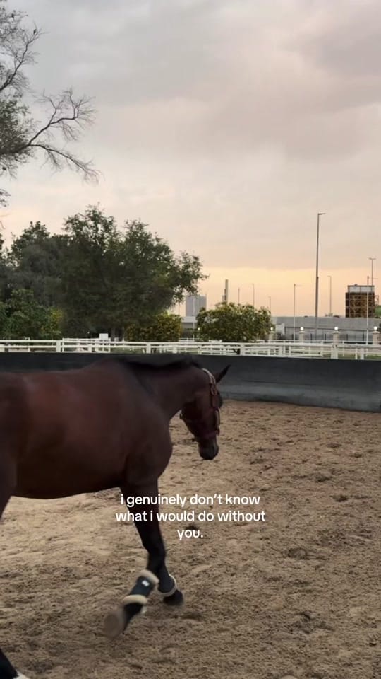 Post 1 by Lina on TikTok (video)