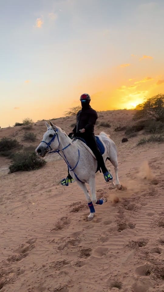 Post 3 by Marwan Alali🇦🇪🐎 on TikTok (video)