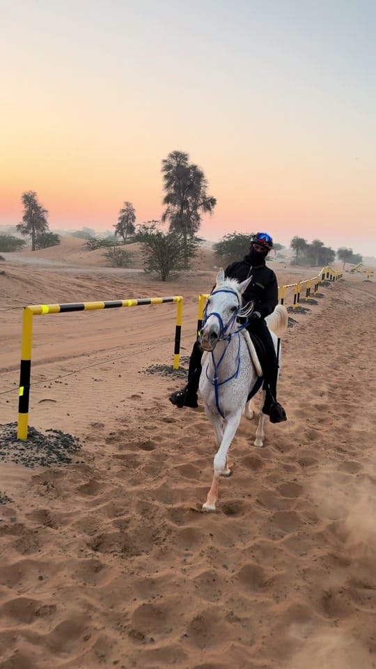 Post 5 by Marwan Alali🇦🇪🐎 on TikTok (video)