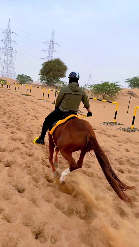 Post 6 by Marwan Alali🇦🇪🐎 on TikTok (video)