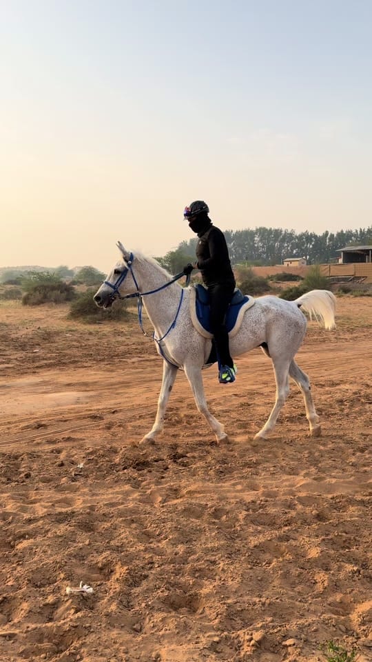 Post 2 by Marwan Alali🇦🇪🐎 on TikTok (video)