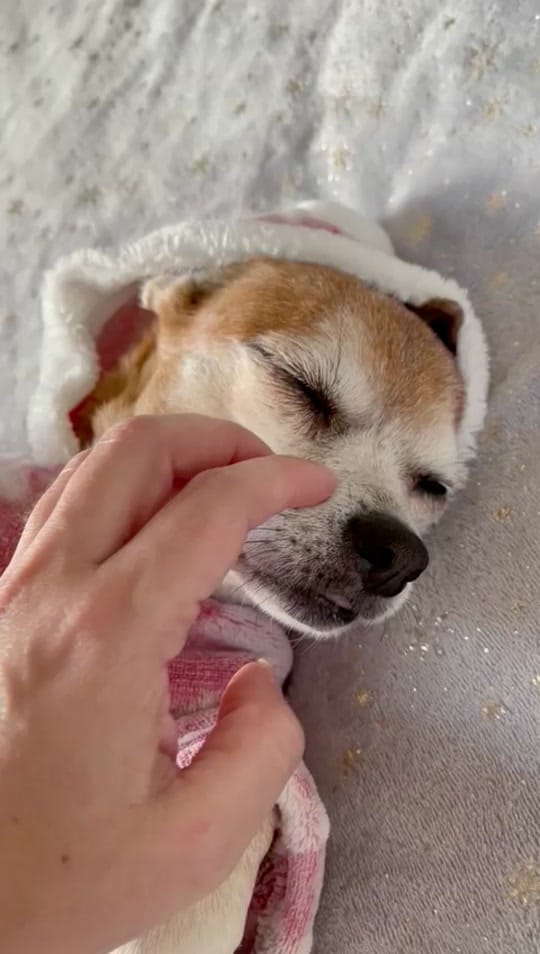 Post 1 by Yaw 🇦🇪 on TikTok (video)