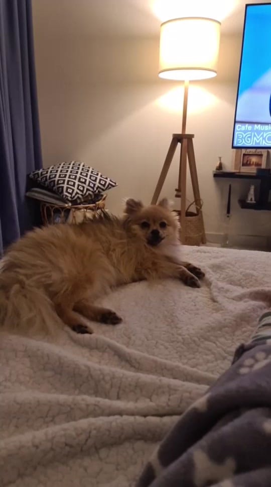 Post 2 by Yaw 🇦🇪 on TikTok (video)