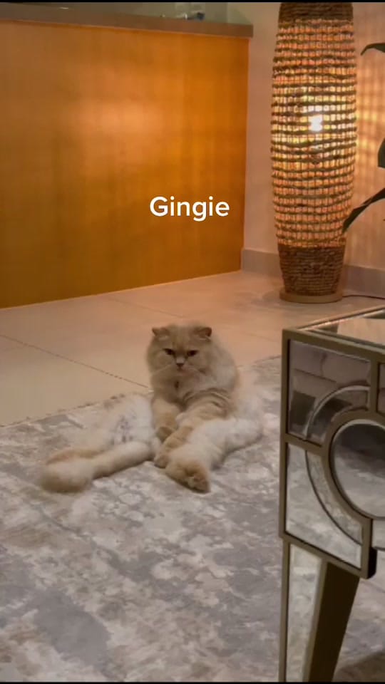 Post 6 by Yaw 🇦🇪 on TikTok (video)