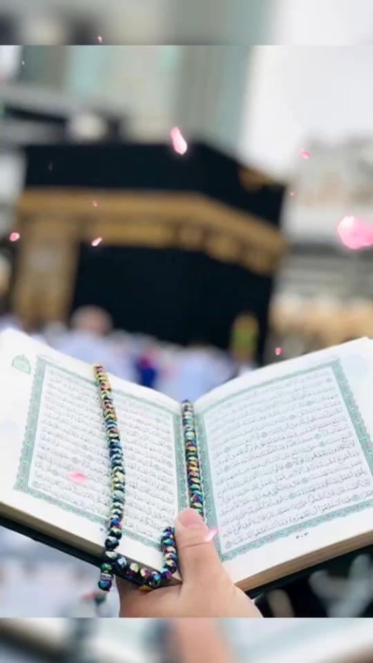 Post 5 by Zubin khan on TikTok (video)