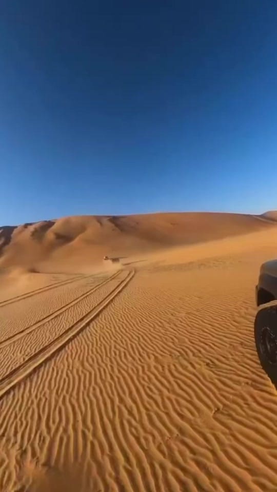 Post 3 by ADAM on TikTok (video)