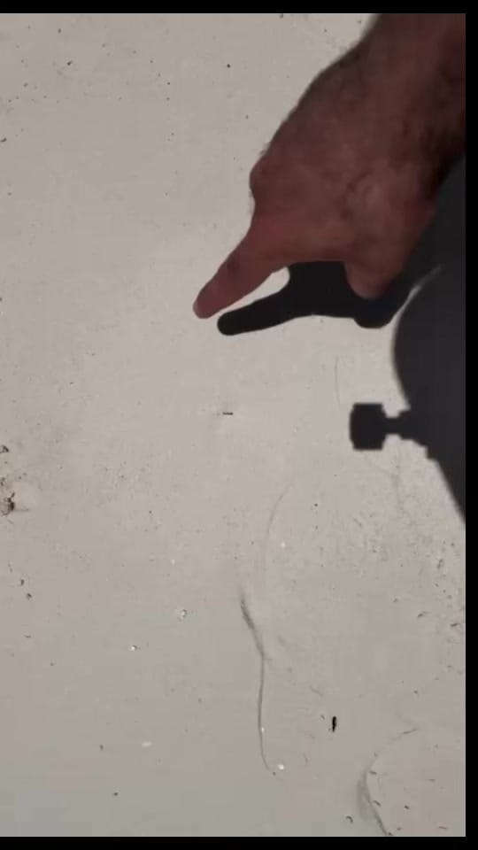Post 2 by latascat on TikTok (video)