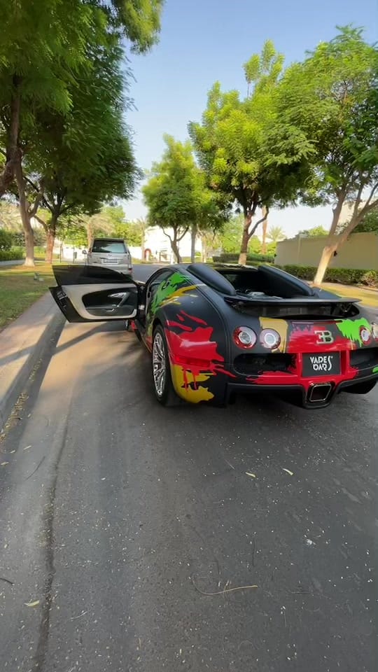 Post 7 by rohan_robert_ on TikTok (video)