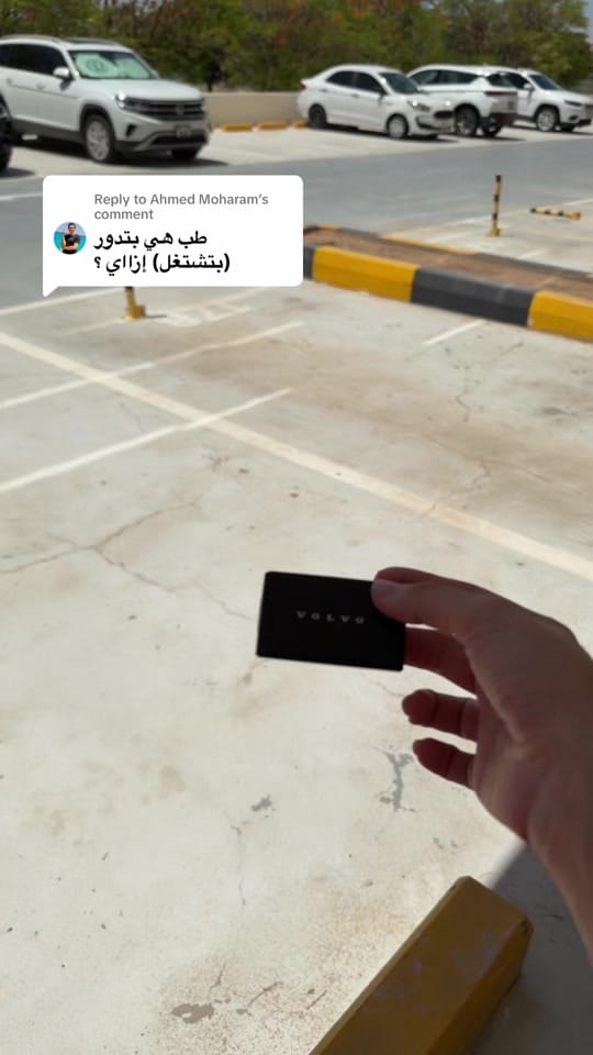 Post 7 by Yara Essam on TikTok (video)