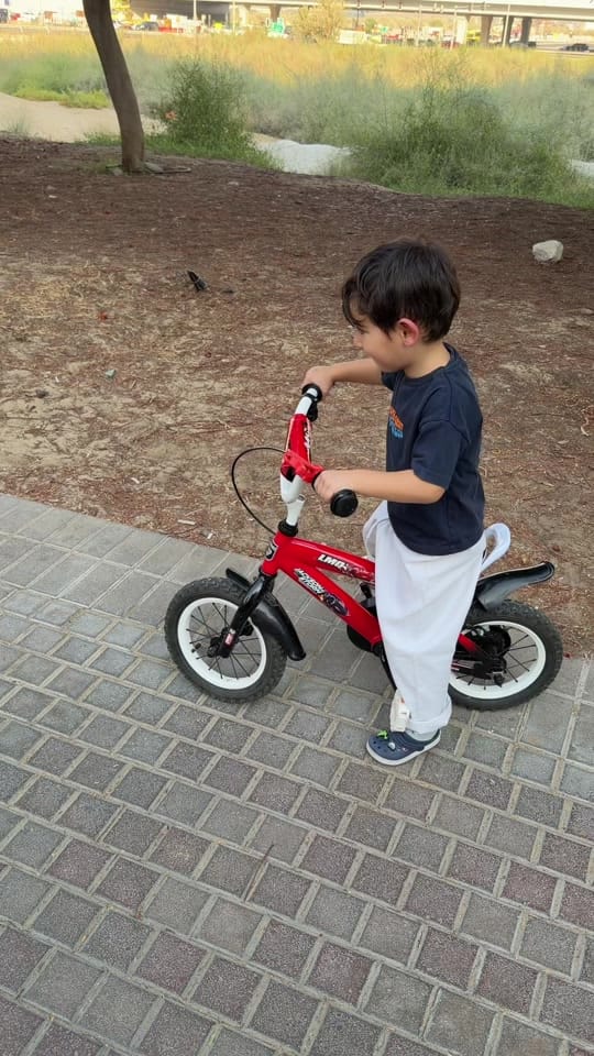 Post 2 by Yara Essam on TikTok (video)