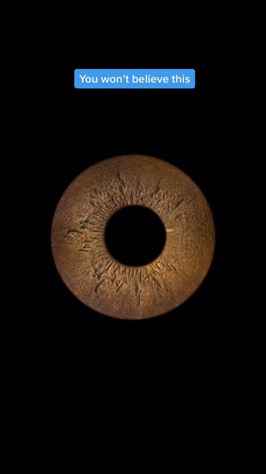 Post 9 by eyemazyuae on TikTok (video)