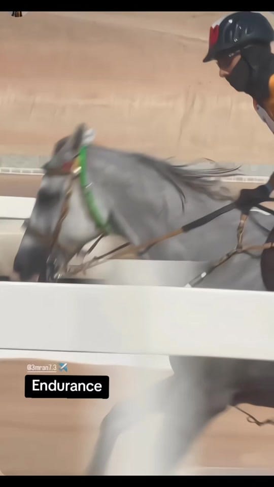 Post 7 by 𝐃𝐮𝐛𝐚𝐢 𝐇𝐨𝐫𝐬𝐞 on TikTok (video)