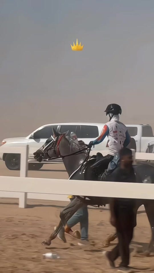 Post 4 by 𝐃𝐮𝐛𝐚𝐢 𝐇𝐨𝐫𝐬𝐞 on TikTok (video)