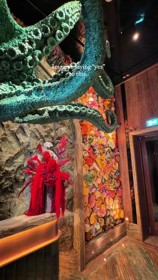 Post 5 by Ms.halabi_ on TikTok (video)