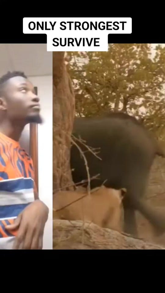 Post 9 by Ai Trending Gh on TikTok (video)