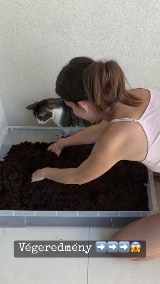 Post 9 by Kriszti naplója 🌸 on TikTok (video)