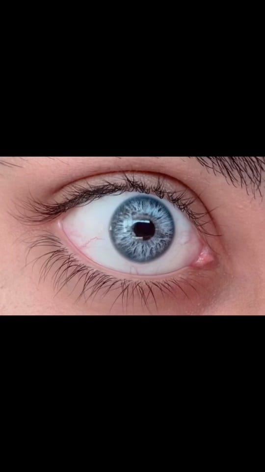 Post 8 by lenses_dubai on TikTok (video)