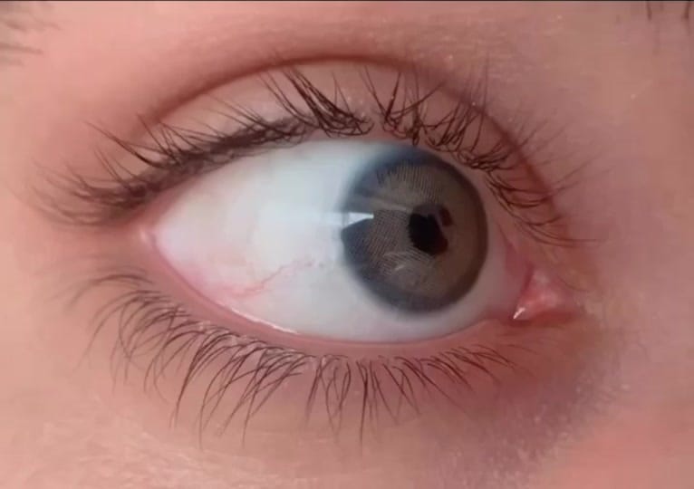 Post 9 by lenses_dubai on TikTok (video)