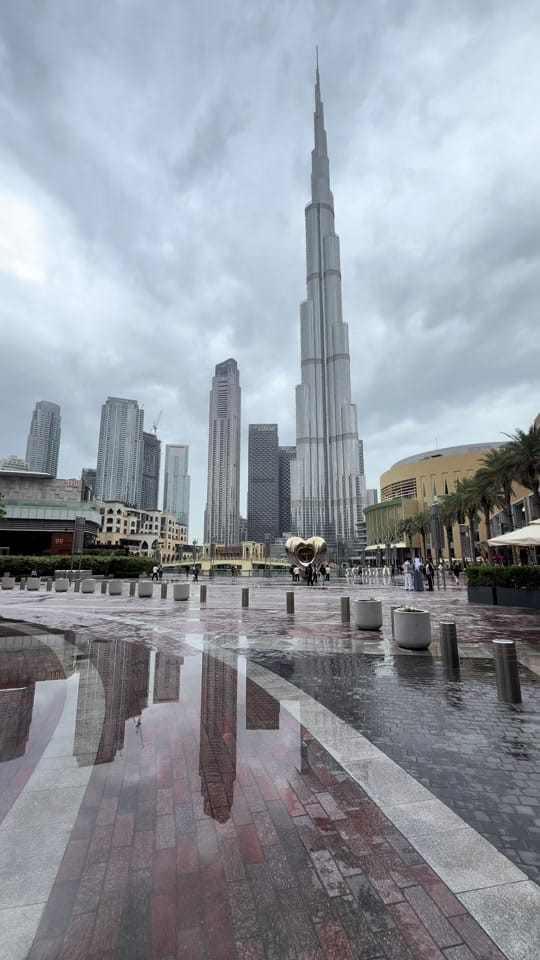 Post 8 by Hamza Nofal on TikTok (video)