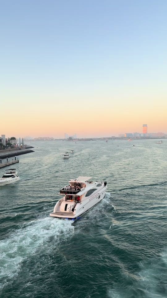 Post 6 by Hamza Nofal on TikTok (video)