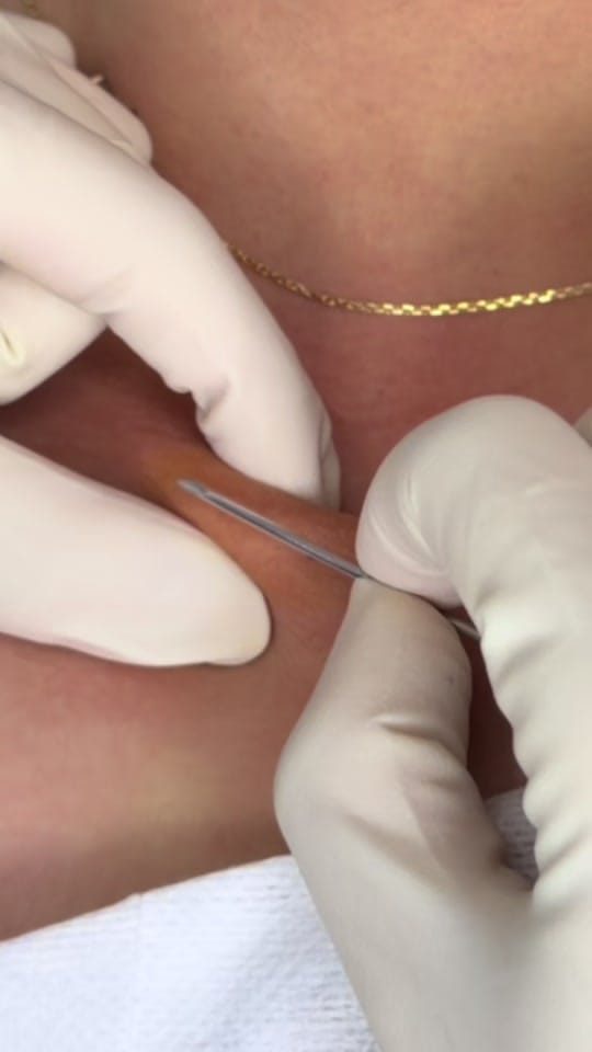 Post 7 by Piercing Spot on TikTok (video)