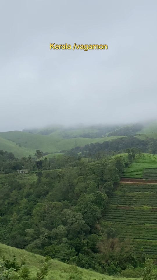 Post 7 by arif_mhmd4 on TikTok (video)