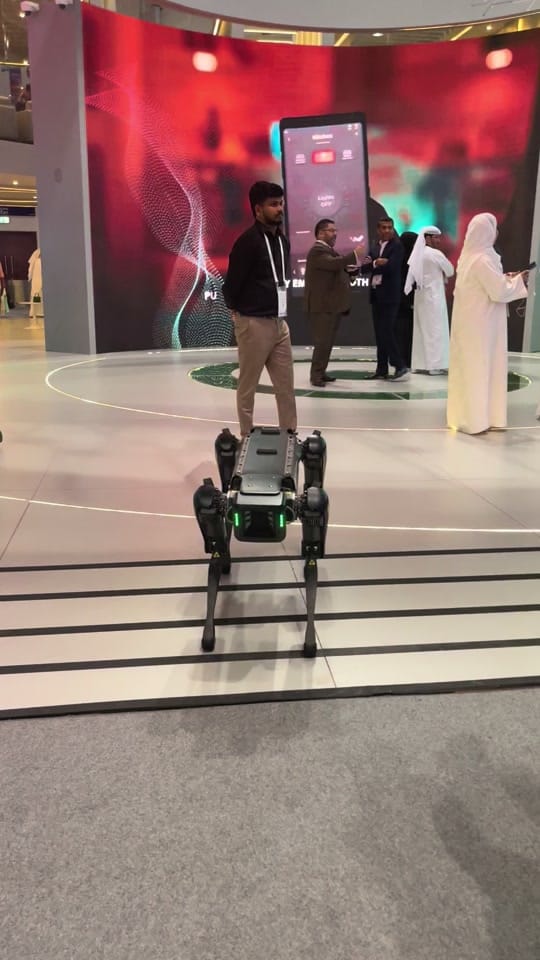 Post 9 by Elias on TikTok (video)