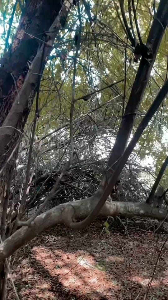 Post 6 by Elias on TikTok (video)