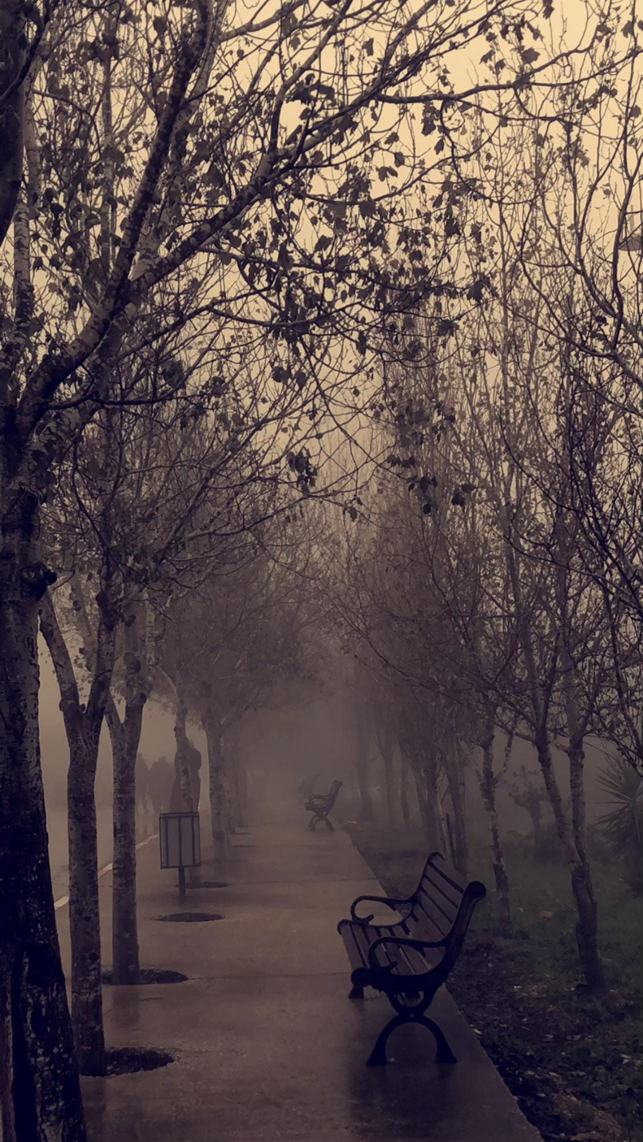 Post 8 by Othman Diab on TikTok (video)