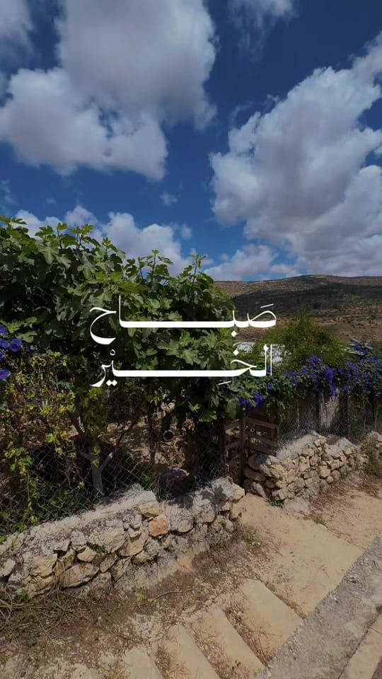 Post 6 by Othman Diab on TikTok (video)