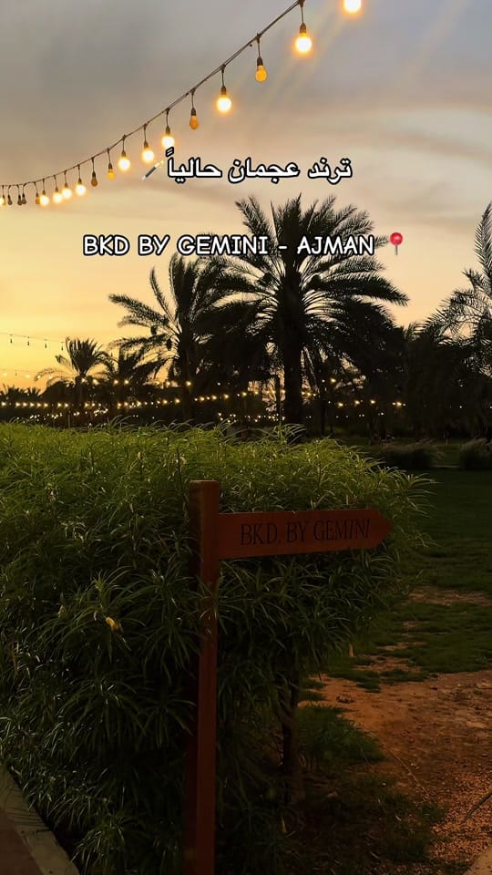 Post 3 by Dubailove205 on TikTok (video)