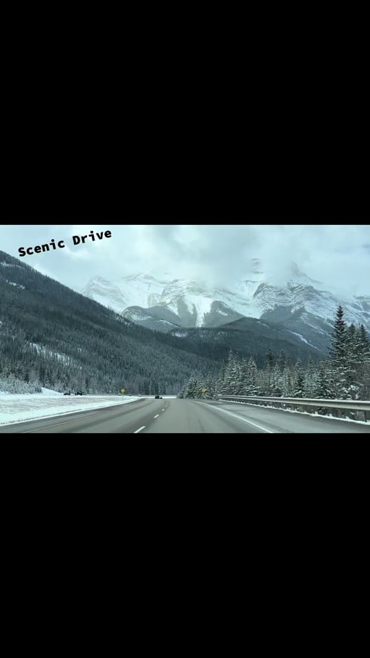 Post 3 by Homesbykaur on TikTok (video)