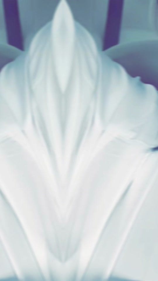 Post 7 by Nourhane Al Khofajie on TikTok (video)