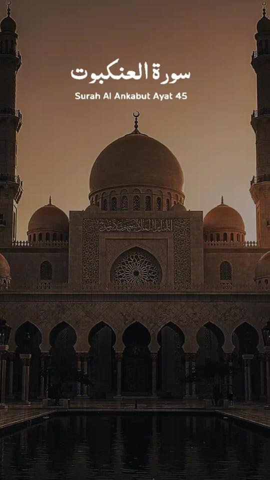 Post 5 by BANSOT TV on TikTok (video)