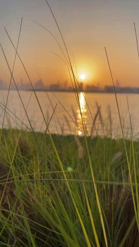 Post 6 by Niyas__nellara on TikTok (video)