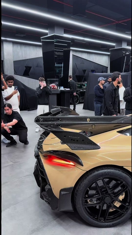 Post 2 by Picardu_cars on TikTok (video)